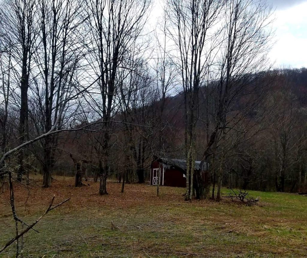 2.30 acres on Campbell Mtn - Upper Delaware Real Estate